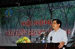 Không nên mở rộng diện tích, cần tập trung củng cố vườn cây